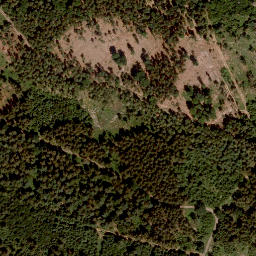 Satellite imagery of Großer Lehnberg, DE