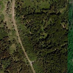 Satellite imagery of Großer Lehnberg, DE