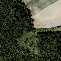 Satellite imagery of Schloss Ahorn, DE