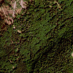 Satellite imagery of Radspitze, DE