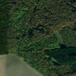 Satellite imagery of (Kanovnický les) [Činěves], CZ