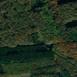 Satellite imagery of (Kanovnický les) [Činěves], CZ