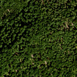 Satellite imagery of Dreimarker, DE