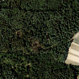 Satellite imagery of Hühnerberg, DE