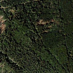 Satellite imagery of Eichberg, DE
