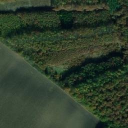 Satellite imagery of (Kanovnický les) [Činěves], CZ
