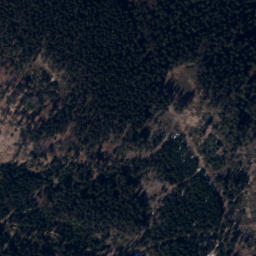 Satellite imagery of Rykowisko, CZ