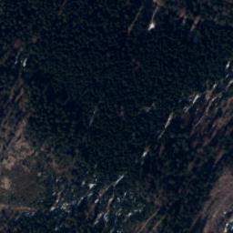 Satellite imagery of Rykowisko, CZ
