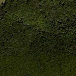 Satellite imagery of Laubhügel, DE