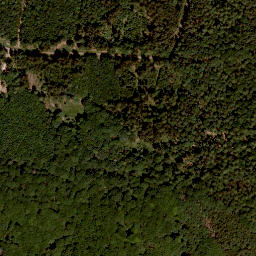 Satellite imagery of Laubhügel, DE