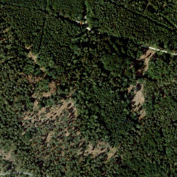 Satellite imagery of Eichberg, DE
