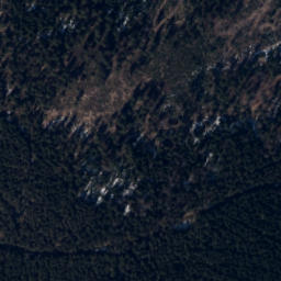 Satellite imagery of Rykowisko, CZ