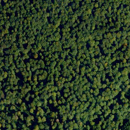 Satellite imagery of Pfarrhofenberg, DE