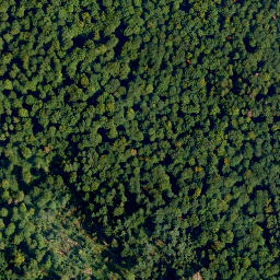 Satellite imagery of Pfarrhofenberg, DE