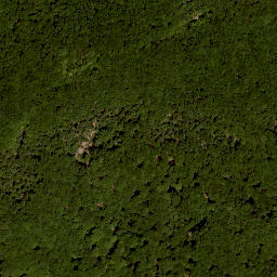 Satellite imagery of Laubhügel, DE