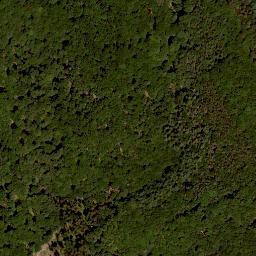 Satellite imagery of Laubhügel, DE