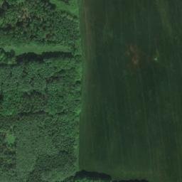 Satellite imagery of Horka [Přepychy u Opočna], CZ