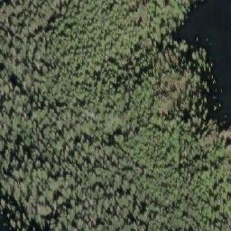 Satellite imagery of Mount Renwick, CA