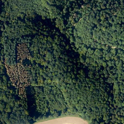 Satellite imagery of Pfarrbüsch, DE
