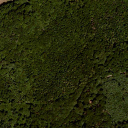 Satellite imagery of Dürrnberg, DE