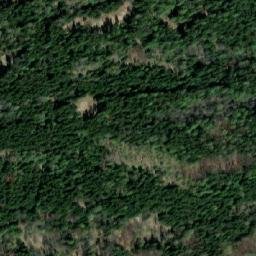 Satellite imagery of Travný vrch, CZ