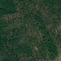 Satellite imagery of Pozdeňský les [Mšec], CZ