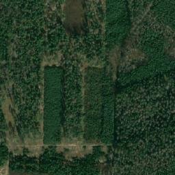 Satellite imagery of Pozdeňský les [Mšec], CZ