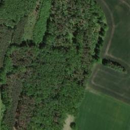 Satellite imagery of Čičák [Třebechovice pod Orebem-Nepasice], CZ