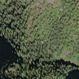 Satellite imagery of Mount Renwick, CA