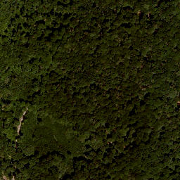 Satellite imagery of Dürrnberg, DE