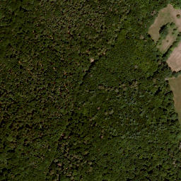 Satellite imagery of Dürrnberg, DE