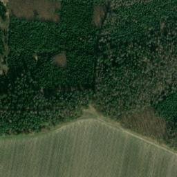 Satellite imagery of Pozdeňský les [Mšec], CZ