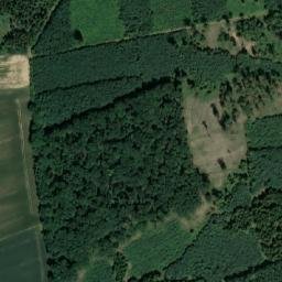 Satellite imagery of (Velký les), CZ