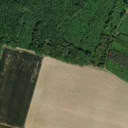 Satellite imagery of (Velký les), CZ