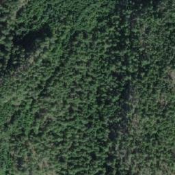 Satellite imagery of Mount William, CA