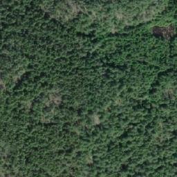 Satellite imagery of Mount William, CA