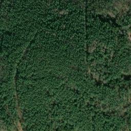 Satellite imagery of Thonberg, DE