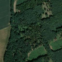 Satellite imagery of (Velký les), CZ