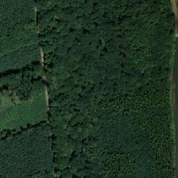 Satellite imagery of (Velký les), CZ