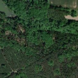 Satellite imagery of (Ledecké bory) [Ledce], CZ