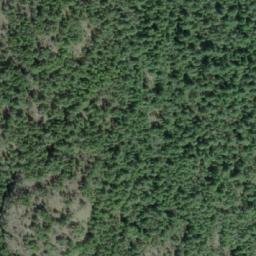 Satellite imagery of Mount William, CA