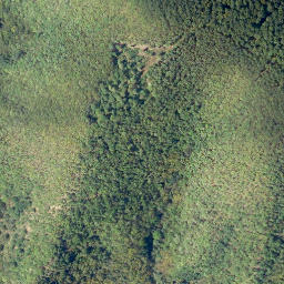 Satellite imagery of Beier-Berg, DE