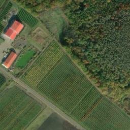 Satellite imagery of [Běrunice-Vlkov nad Lesy] church t., CZ
