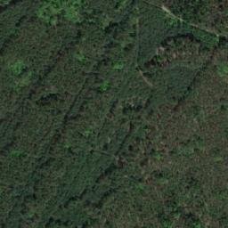 Satellite imagery of (Ledecké bory) [Ledce], CZ