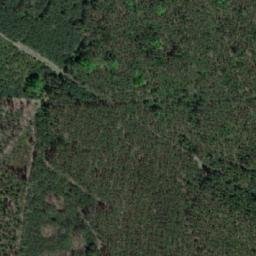 Satellite imagery of (Ledecké bory) [Ledce], CZ