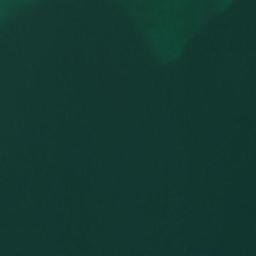 Satellite imagery of Turtles Head Point, CA