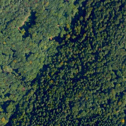 Satellite imagery of Meisenkopf, DE