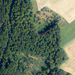 Satellite imagery of Meisenkopf, DE