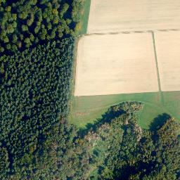 Satellite imagery of Molsberger Kopf, DE