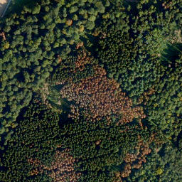 Satellite imagery of Molsberger Kopf, DE